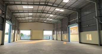 Commercial Warehouse 17000 Sq.Ft. For Rent In Surajpur Site 4 Greater Noida 6782766