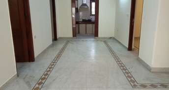 3 BHK Apartment For Rent in Maurya Apartments Ip Extension Delhi 6782781