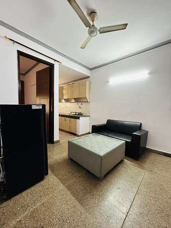 1 BHK Apartment For Rent in Anupam Enclave Saket Delhi 6783025