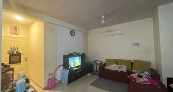 2 BHK Apartment For Rent in Sector 70a Gurgaon 6783079