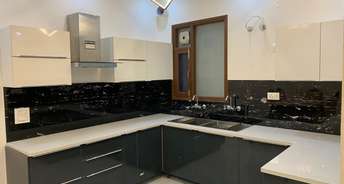 3 BHK Apartment For Rent in SBP City of Dreams Zirakpur Patiala Road Zirakpur 6783105