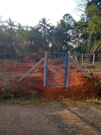  Plot For Resale in Peramangalam Thrissur 6783100