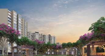 1 BHK Apartment For Resale in Hinjewadi Pune 6782610