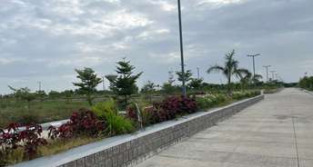  Plot For Resale in Muthangi Hyderabad 6783462