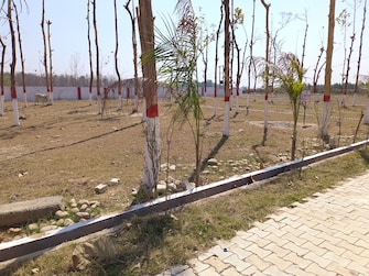 Plot For Resale in Ganga Vatika Dehradun  6783628