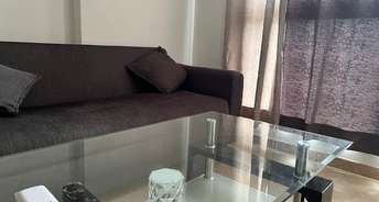 1 BHK Apartment For Rent in Hiranandani Maple Powai Mumbai 6783895