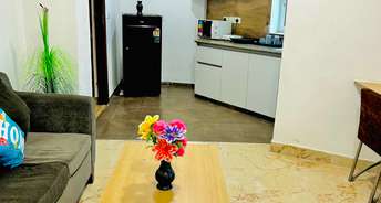1 BHK Apartment For Rent in Nimbus The Golden Palm Sector 168 Noida 6783937