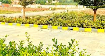  Plot For Resale in Kailasha Enclave Sultanpur Road Lucknow 6784078