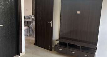 3 BHK Builder Floor For Rent in TDI The Grand Retreat Sector 88 Faridabad 6784101
