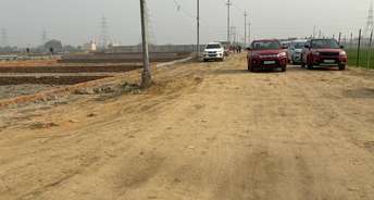  Plot For Resale in Sector M10 Gurgaon 6784272