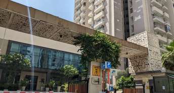 1 BHK Apartment For Rent in Ajnara Elements Sector 137 Noida 6784487