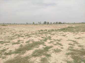 Plot For Resale in Yamuna Expressway Greater Noida  6785138