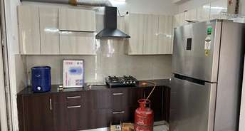 2 BHK Apartment For Rent in Parker White Lily Sector 8 Sonipat 6785272