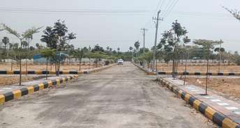  Plot For Resale in East Marredpally Hyderabad 6785472