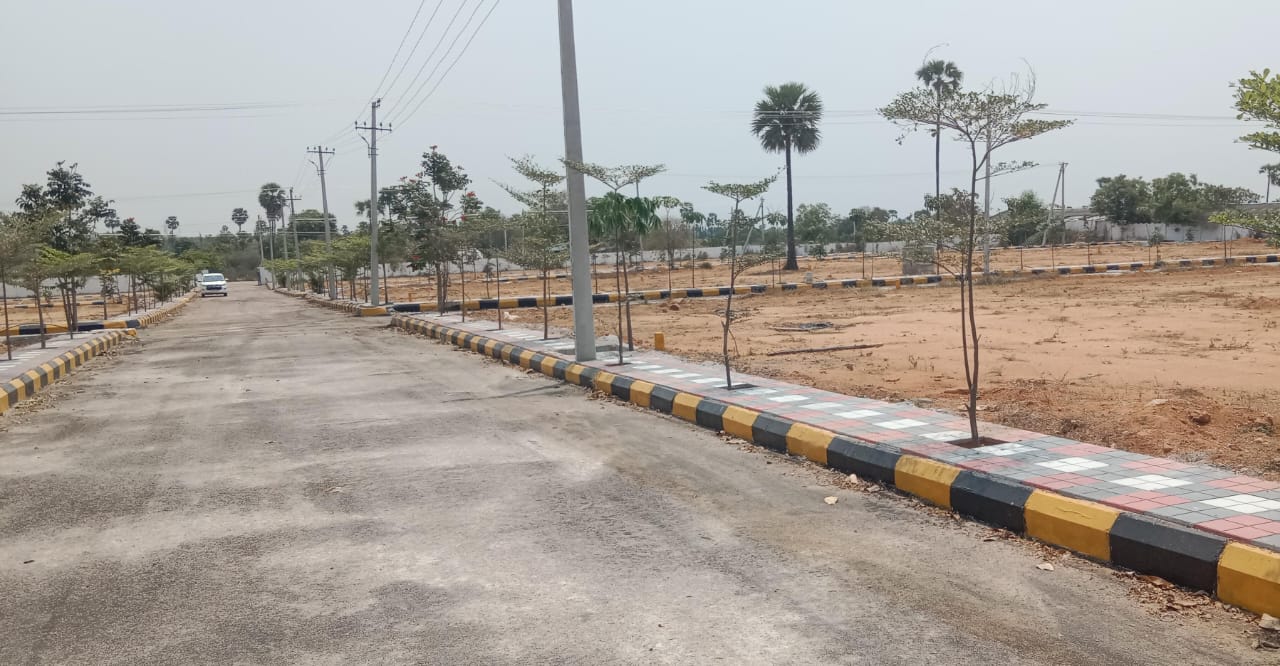 Plot For Resale in Rtc Cross Road Hyderabad  6785484