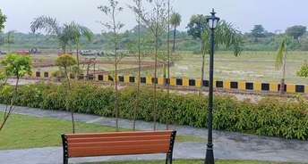  Plot For Resale in Faizabad Road Lucknow 6785787