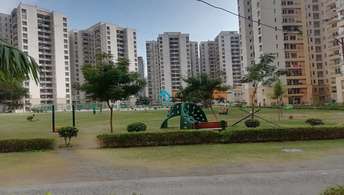 3 BHK Apartment For Rent in Jaypee Greens Kosmos Sector 134 Noida 6785830