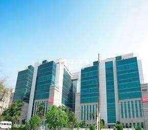 Commercial Office Space 2800 Sq.Ft. For Rent in Udyog Vihar Phase 4 Gurgaon  6785912