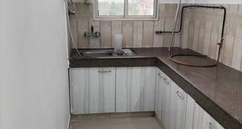 1 BHK Apartment For Rent in Yamuna Expressway Greater Noida 6786022