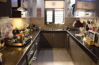 3 BHK Builder Floor For Rent in Richlook Elegant Floors Green Fields Colony Faridabad 6787097