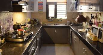 3 BHK Builder Floor For Rent in Richlook Elegant Floors Green Fields Colony Faridabad 6787097