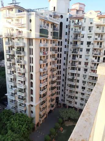 2 BHK Apartment For Rent in DLF The Princeton Estate Dlf Phase V Gurgaon  6787193