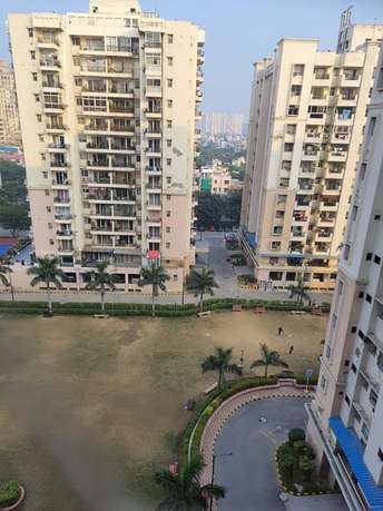 3 BHK Apartment For Rent in Eros Wembley Estate Sector 50 Gurgaon 6787237