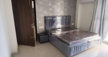 3 BHK Apartment For Rent in Chandigarh Ambala Highway Zirakpur 6787282