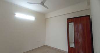 1 BHK Apartment For Rent in Gaur City 2   14th Avenue Noida Ext Sector 16c Greater Noida 6787376