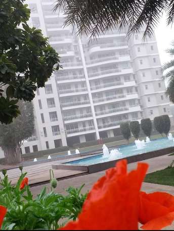 4 BHK Apartment For Rent in DLF The Icon Dlf Phase V Gurgaon  6787411