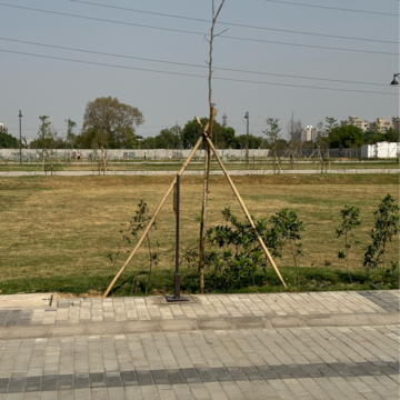 Plot For Resale in Bptp District Faridabad Sector 81 Faridabad  6787438