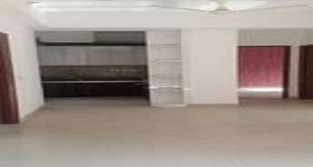 3 BHK Builder Floor For Rent in Sector 20 Panchkula 6787502