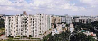 3 BHK Apartment For Resale in Sobha Chrysanthemum Thanisandra Bangalore 6787604