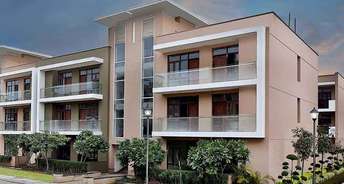 3 BHK Builder Floor For Rent in Omaxe New Chandigarh North Mullanpur Chandigarh 6787739