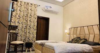 3 BHK Apartment For Resale in Nangal Dewat Delhi 6787726