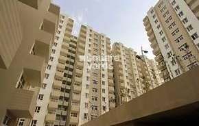 2 BHK Apartment For Rent in Tulip Lemon Sector 69 Gurgaon 6788197