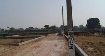  Plot For Resale in Sector 16 Faridabad 6788245