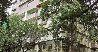 3 BHK Apartment For Rent in Lily Court Churchgate Mumbai 6788237