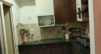 2 BHK Apartment For Rent in Ajnara Le Garden Noida Ext Sector 16b Greater Noida 6788466