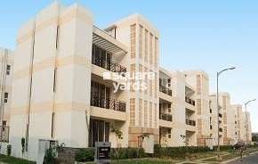 4 BHK Builder Floor For Resale in Puri Vip Floors Sector 81 Faridabad 6788595