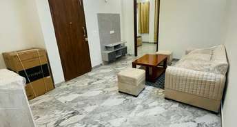 2 BHK Builder Floor For Rent in Ameya One Sector 42 Gurgaon 6788811