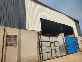 Commercial Warehouse 10000 Sq.Ft. For Rent In JaipuR Ajmer Express Highway Jaipur 6788821
