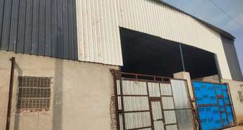 Commercial Warehouse 10000 Sq.Ft. For Rent In JaipuR Ajmer Express Highway Jaipur 6788821