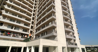 3 BHK Apartment For Rent in Pareena The Elite Residences Gopalpur Gurgaon 6789081