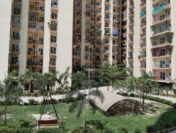 3 BHK Apartment For Rent in Aims Golf City Sector 75 Noida 6789219
