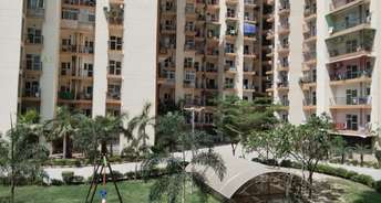 3 BHK Apartment For Rent in Aims Golf City Sector 75 Noida 6789219