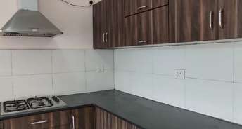 3 BHK Apartment For Rent in Ozone Evergreens Harlur Bangalore 6789234