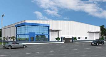 Commercial Warehouse 8200 Sq.Ft. For Rent In Nit Area Faridabad 6789487