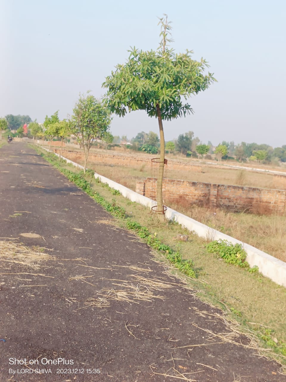 Plot For Resale in Sultanpur Road Lucknow  6789679