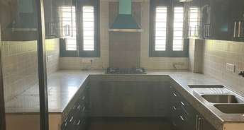 3 BHK Builder Floor For Rent in RWA Apartments Sector 51 Sector 51 Noida 6789975